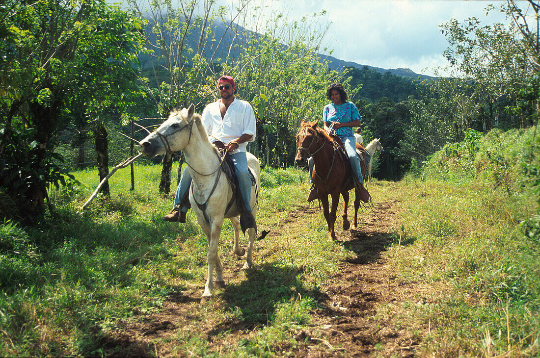 Reiten, Arenal, Costa Rica Karibik