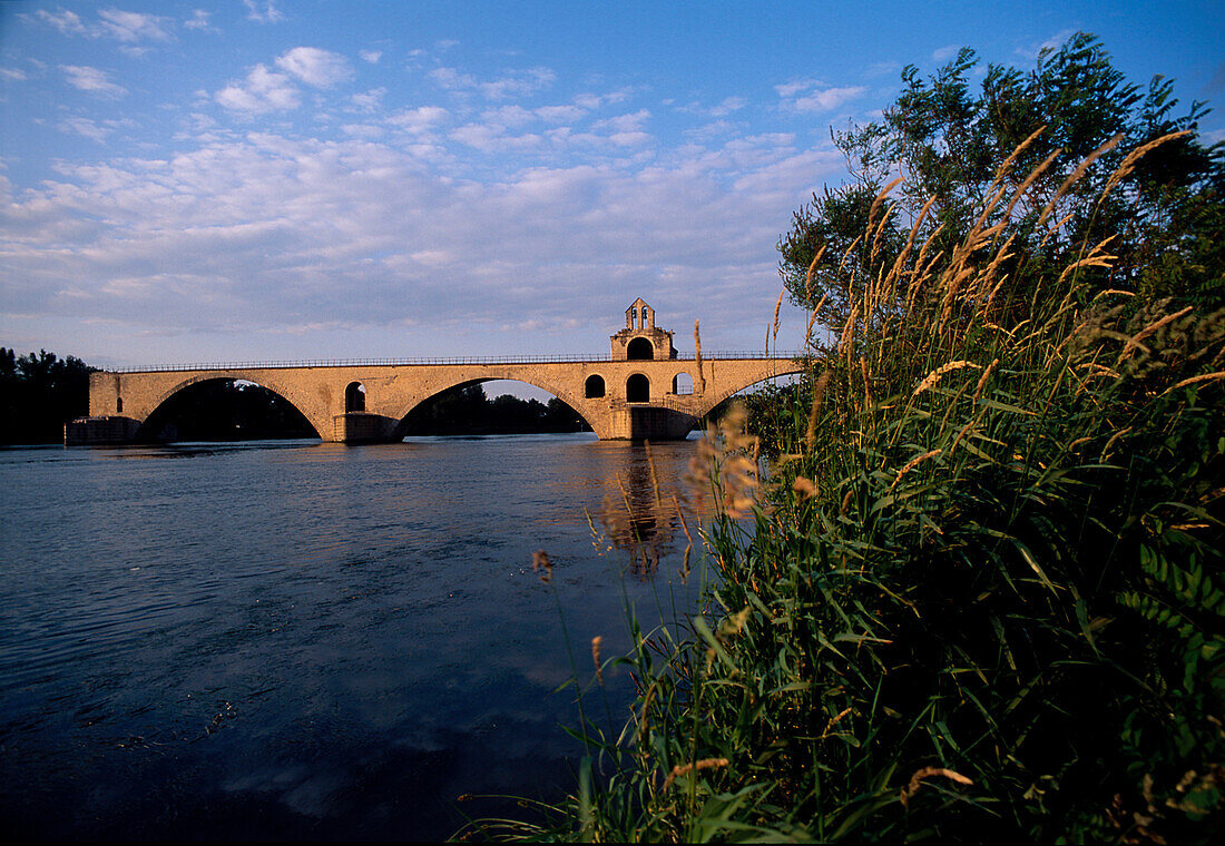 Saint-Bénézet-Brücke, Avignon, Frankreich