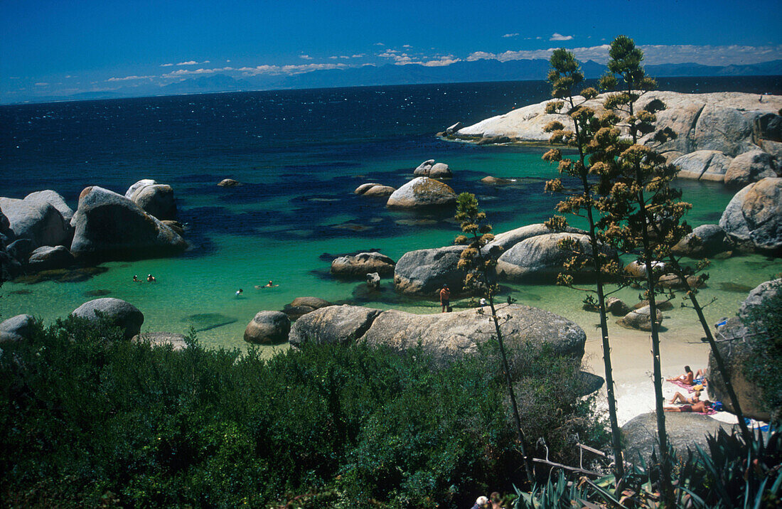 Kapstadt, Fishhoek, Boulder Beach Südafrika