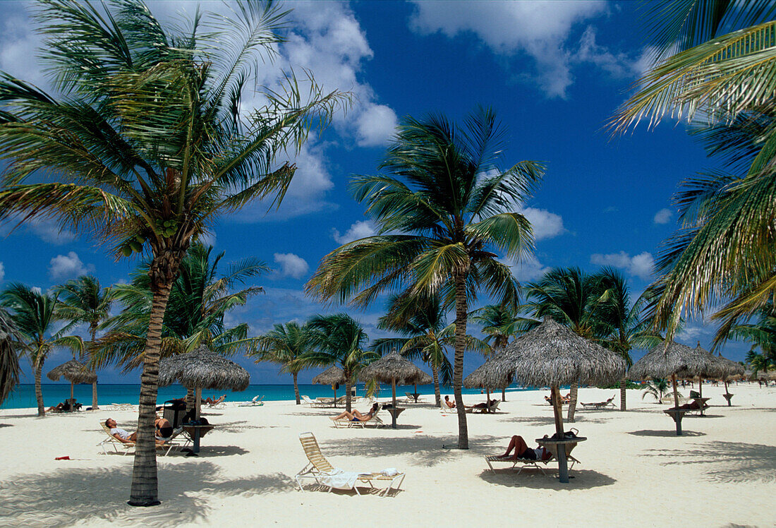 Bucuti Beach, Nordwestkueste, Aruba Niederlaendische Antillen