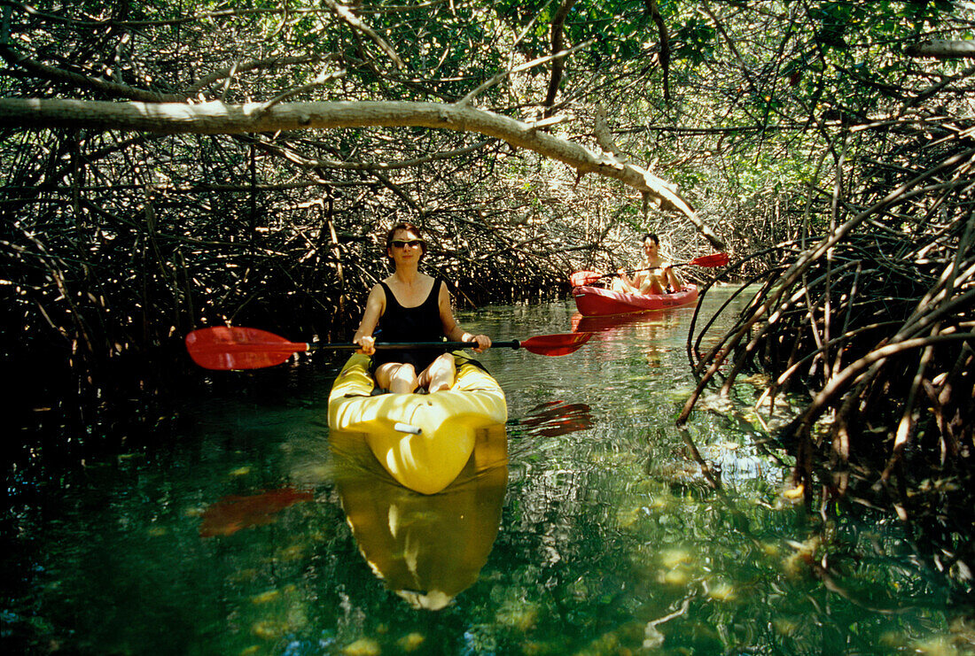 Kajaks, Lac Bay, Bonaire Niederländische Antillen