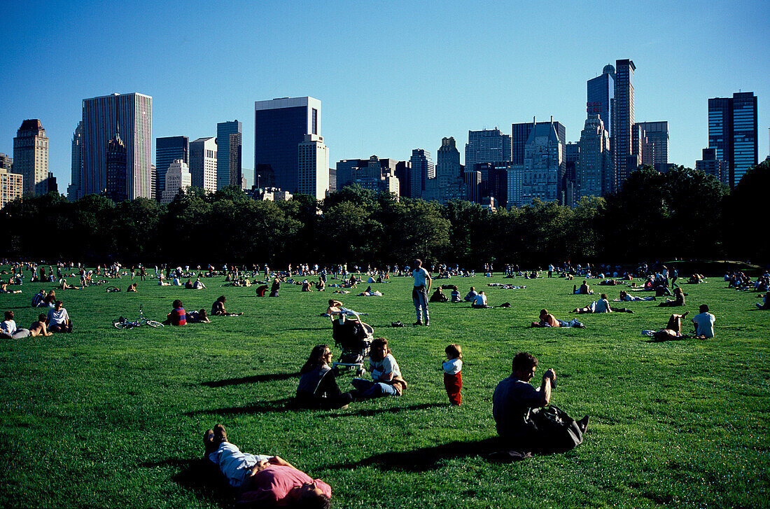 Great Lawan Central Park, New York City USA