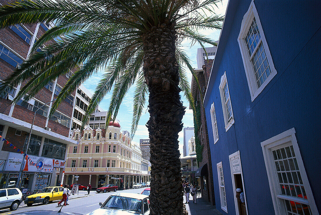 Palm Tree Mosque, Long Streeet, Kapstadt Südafrika
