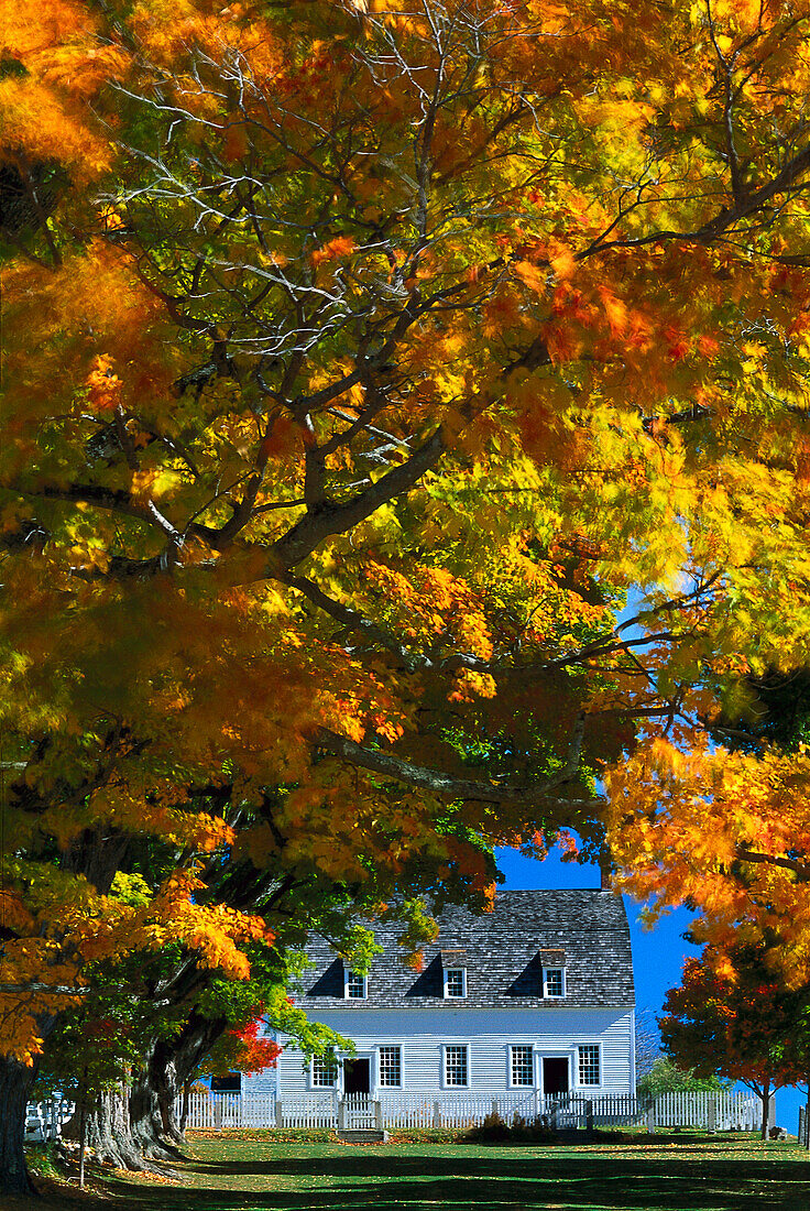 Town hall and autumnal trees, Shakerdorf, Canterbury, New Hampshire, New England, America