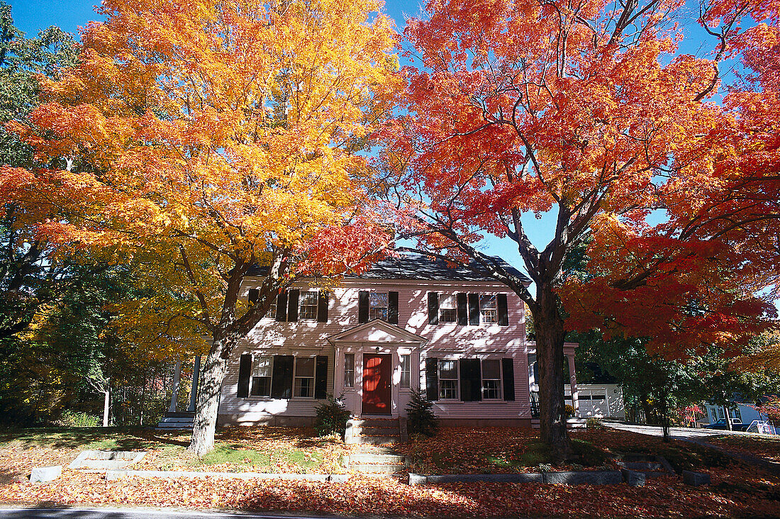 Mansion under autumnal trees, Kennebunkport, Maine, USA, America