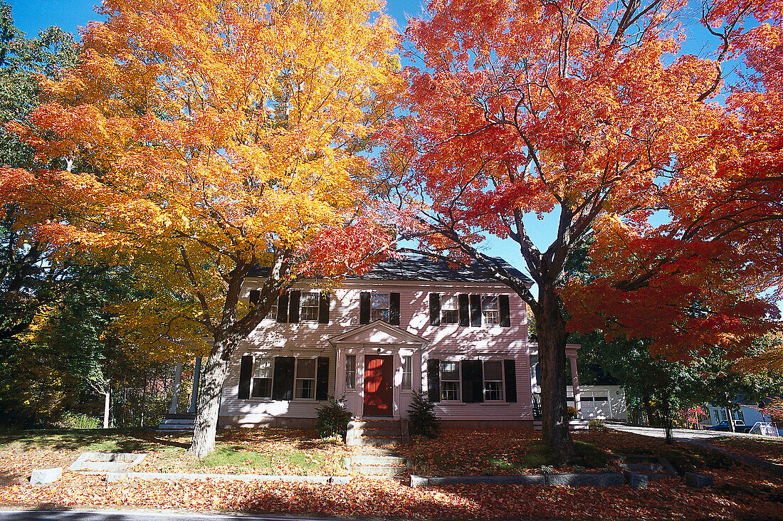 Villa unter herbstlichen Bäumen, Kennebunkport, Maine, USA, Amerika