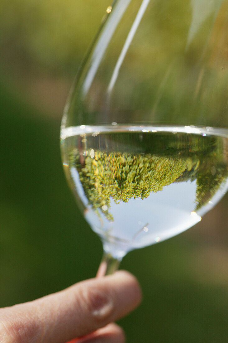 Man holding glass of wine, close up