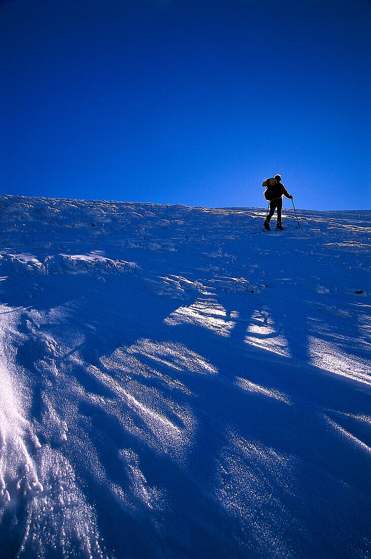 Person on ski tour, Oppenberg, Styria, Austria