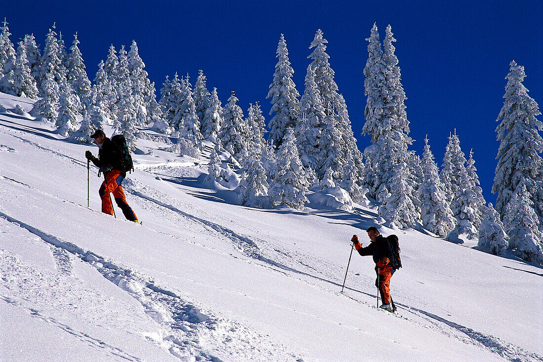 Skitour Oppenberg, Steiermark, Österreich