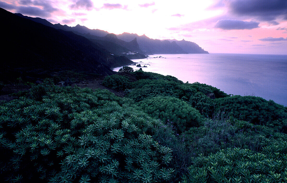 Coast near Taganana, Anaga Mtns., Tenerife Canary Islands, Spain