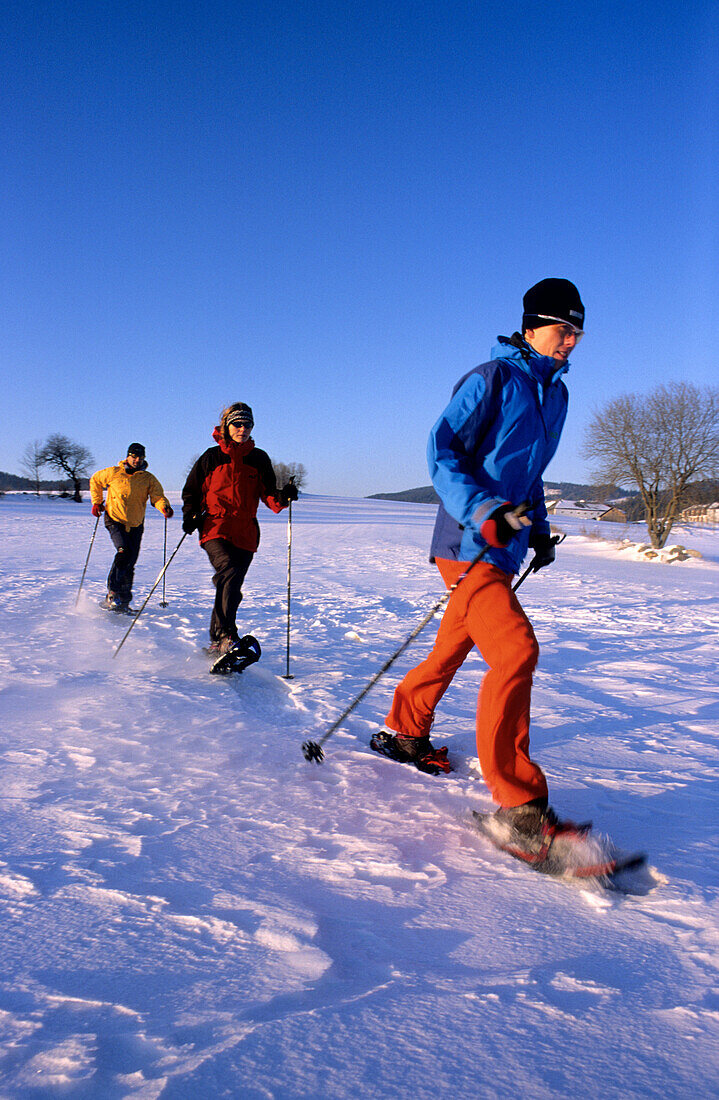 Triplet of snowshoers on snow plain, Muehlviertel, Upper Austria