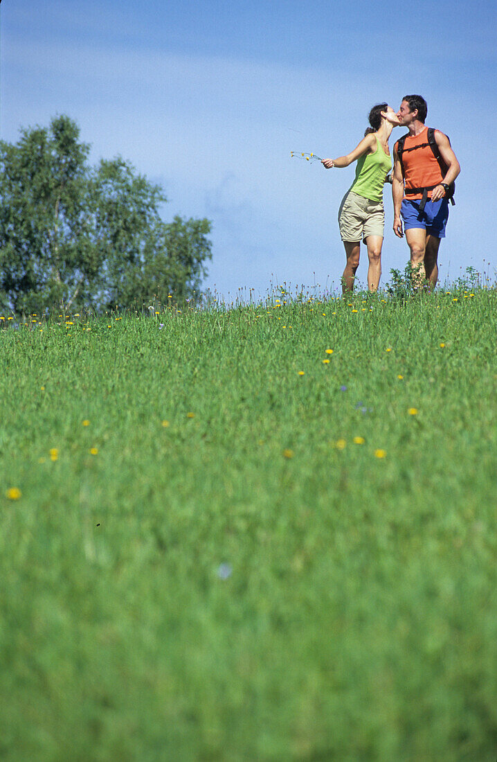 Couple of hikers kissing on meadow, Mühlviertel, Upper Austria
