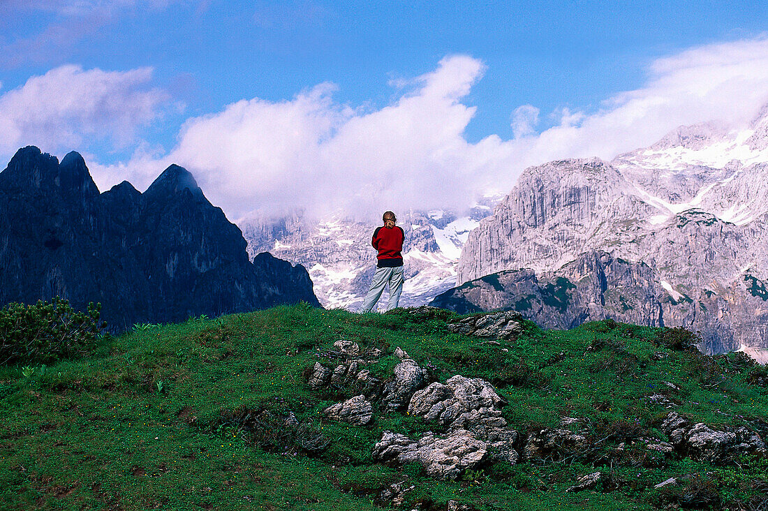 View to the Dachstein Mountains, Gosaukamm, Salzburger Land, Austria