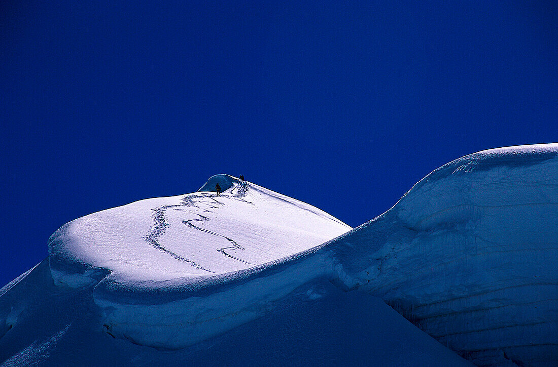 Bergsteiger beim Aufstieg von Vallunaraju, 5.686m, Bergsteigen, Cordillera Blanca, Peru, Südamerika