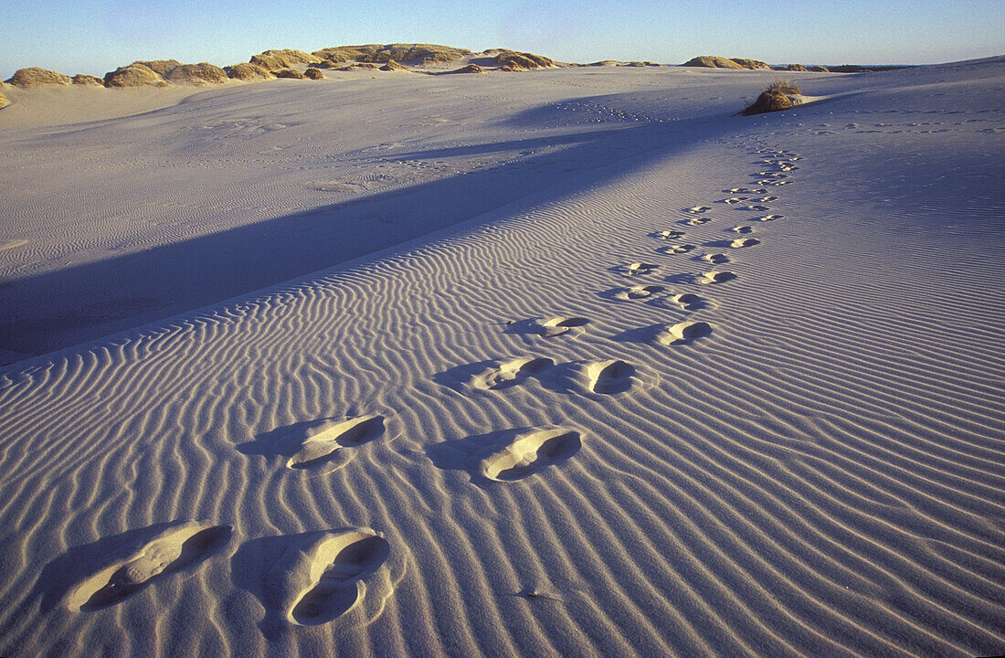 Fußspur im Sand, Rabjerg Mile, Jütland, Dänemark