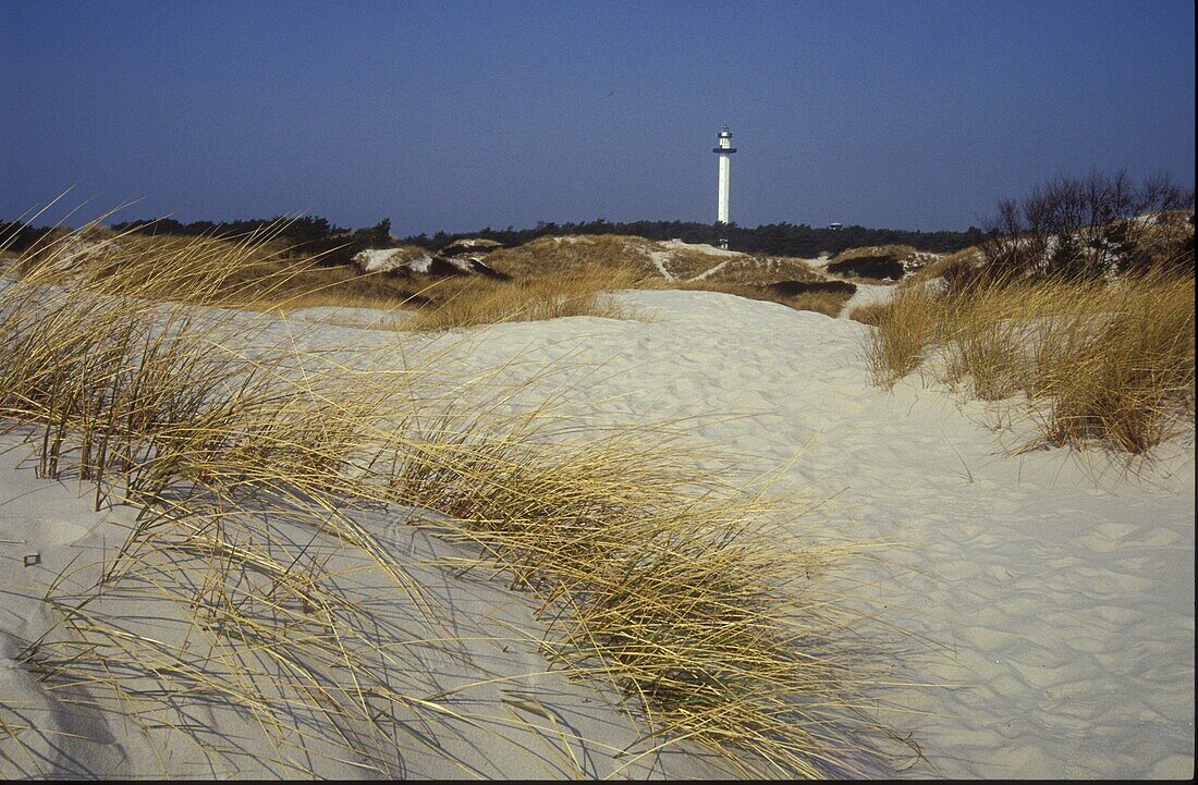 Dunes & Lighthouse, Dueodde, Bornholm Denmark