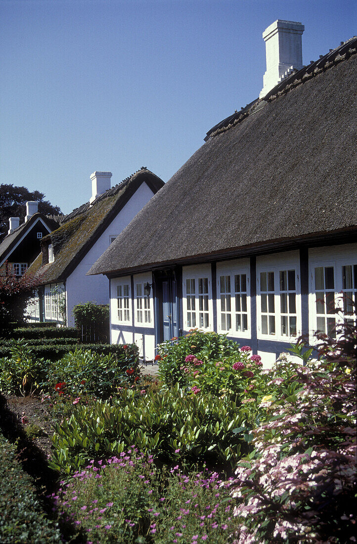 Garden, Gronnegard, Troense, Tasinge Denmark