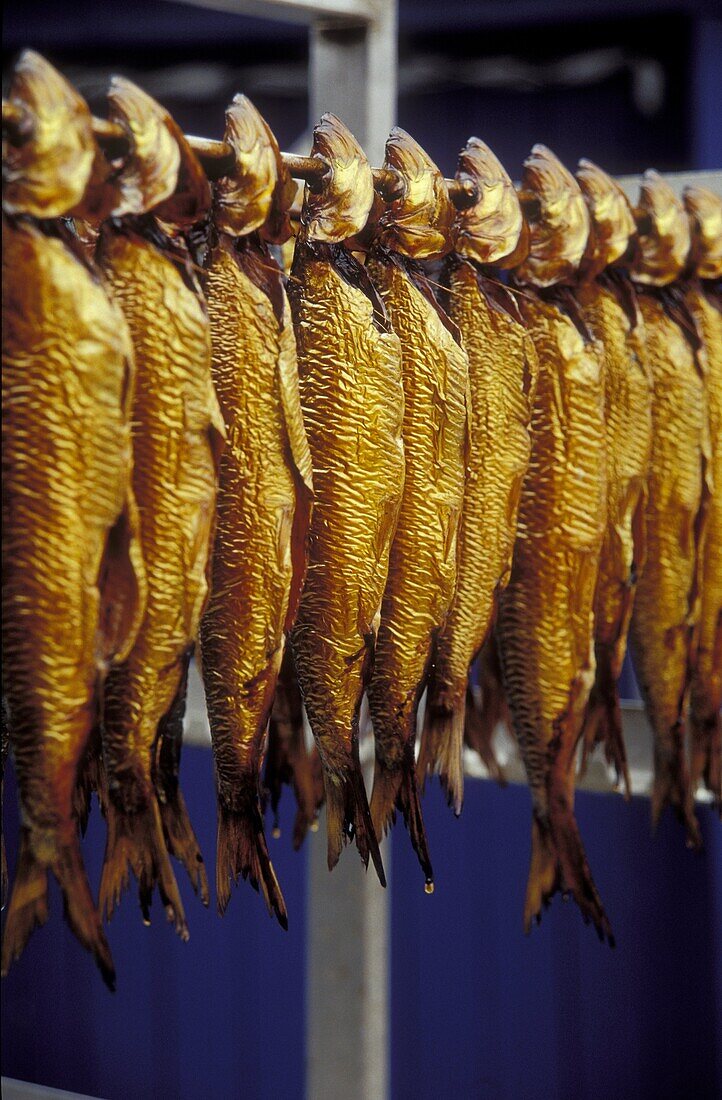 Smoked herring, Bornholm, Denmark, Europe