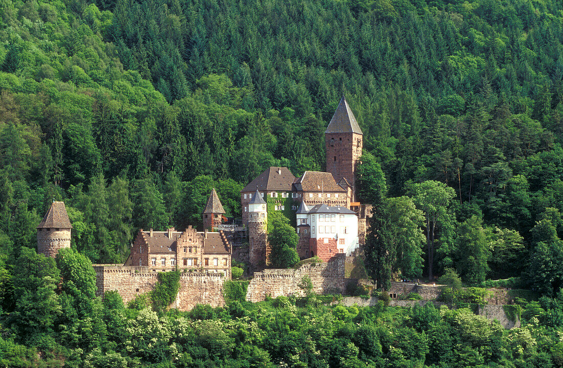 Staufer Castle, Zwingenberg/Neckar, Odenwald Germany