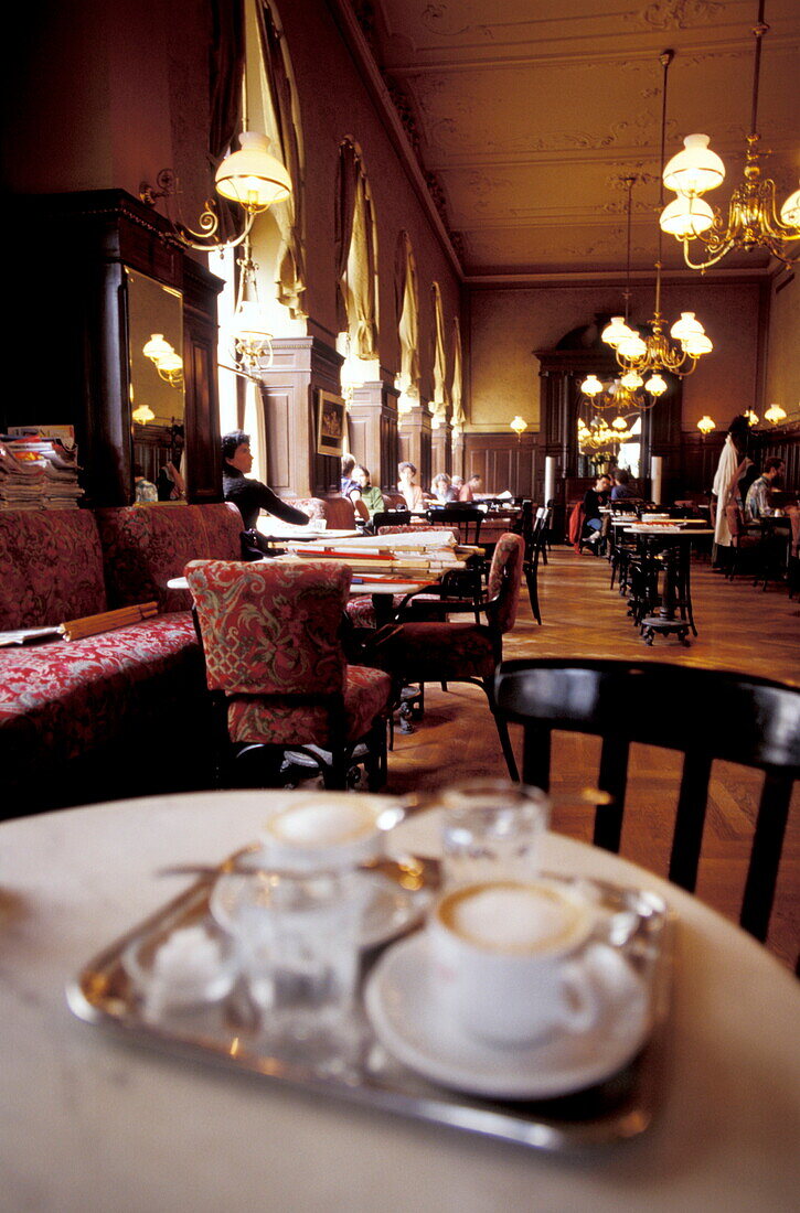 Café Sperl, Wiener Melange, Vienna, Austria Europe