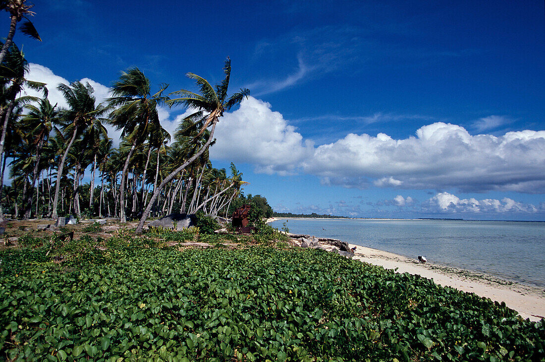 Strand, Tarawa Kiribati