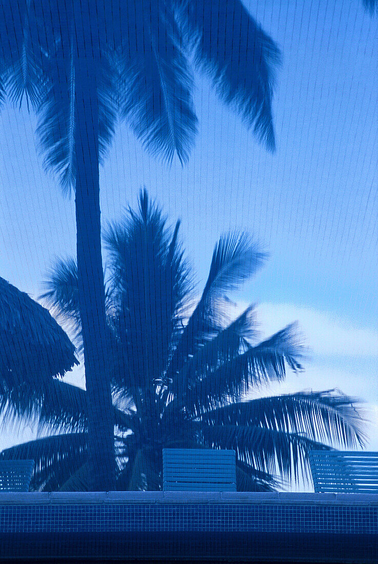 Palmen als Wasserspiegelung in, Swimming Pool, Sofitel Maeva Beach Tahiti, Franzoesisch-Polynesien
