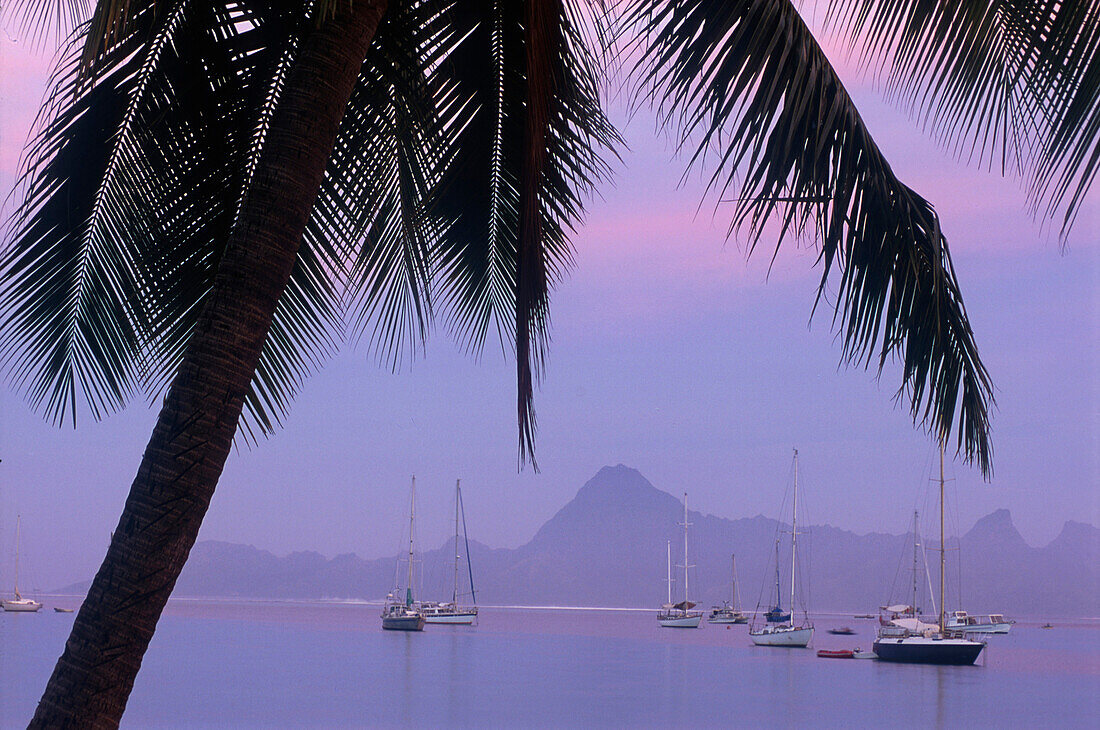 Yachten, Morgendaemmerung, Sofitel Maeva Beach Tahiti, Franz. Polynesien