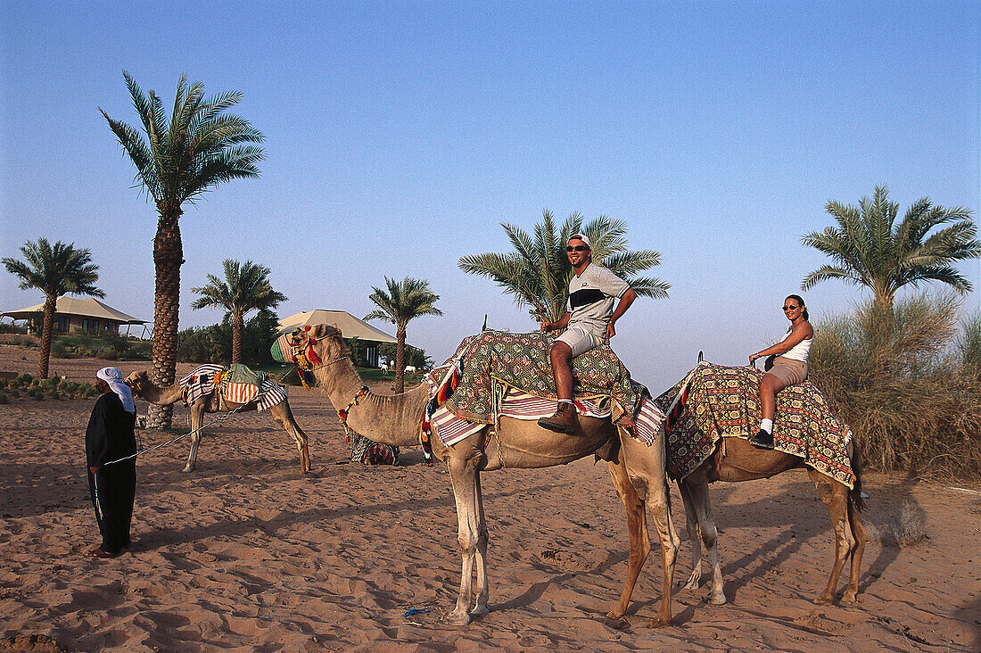 Kamelreiten bei Sonnenuntergang, al Maha Desert Resort, Dubai, Vereinigte Arabische Emirate