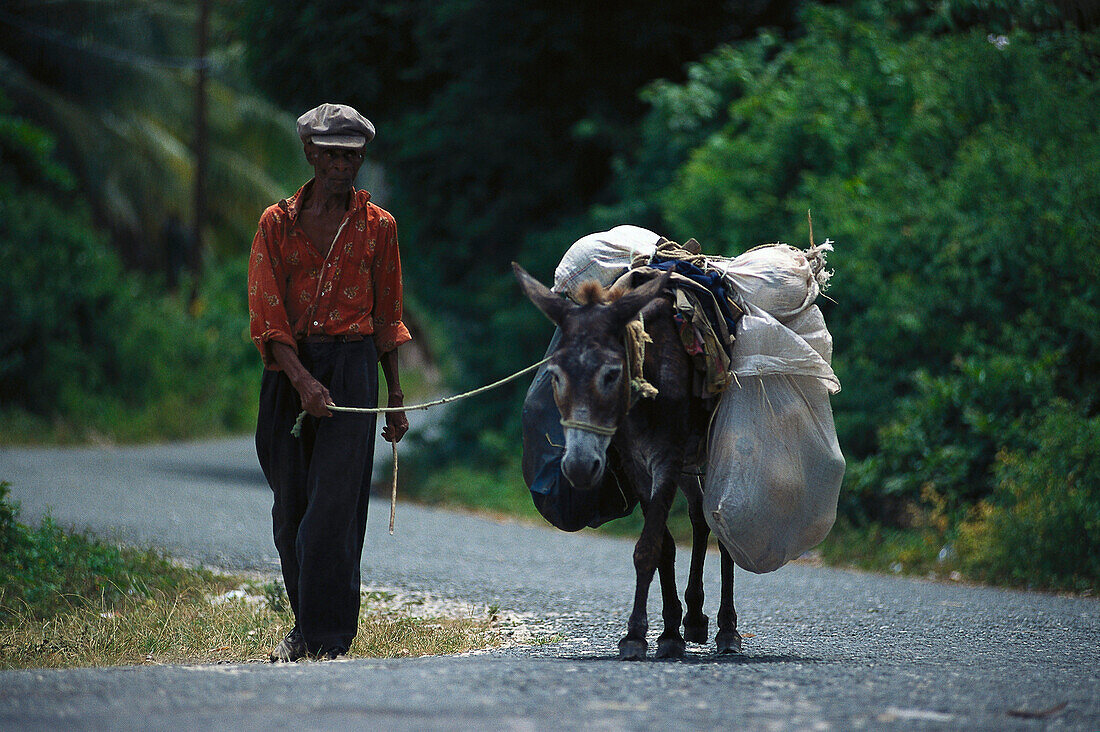 Mann mit Esel, Muirton Jamaika