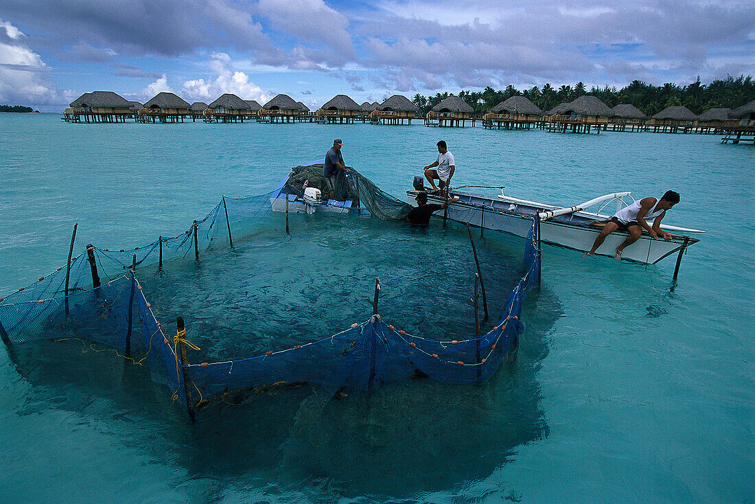 Fish Trap, Pearl Beach Resort, Bora Bora French Polynesia