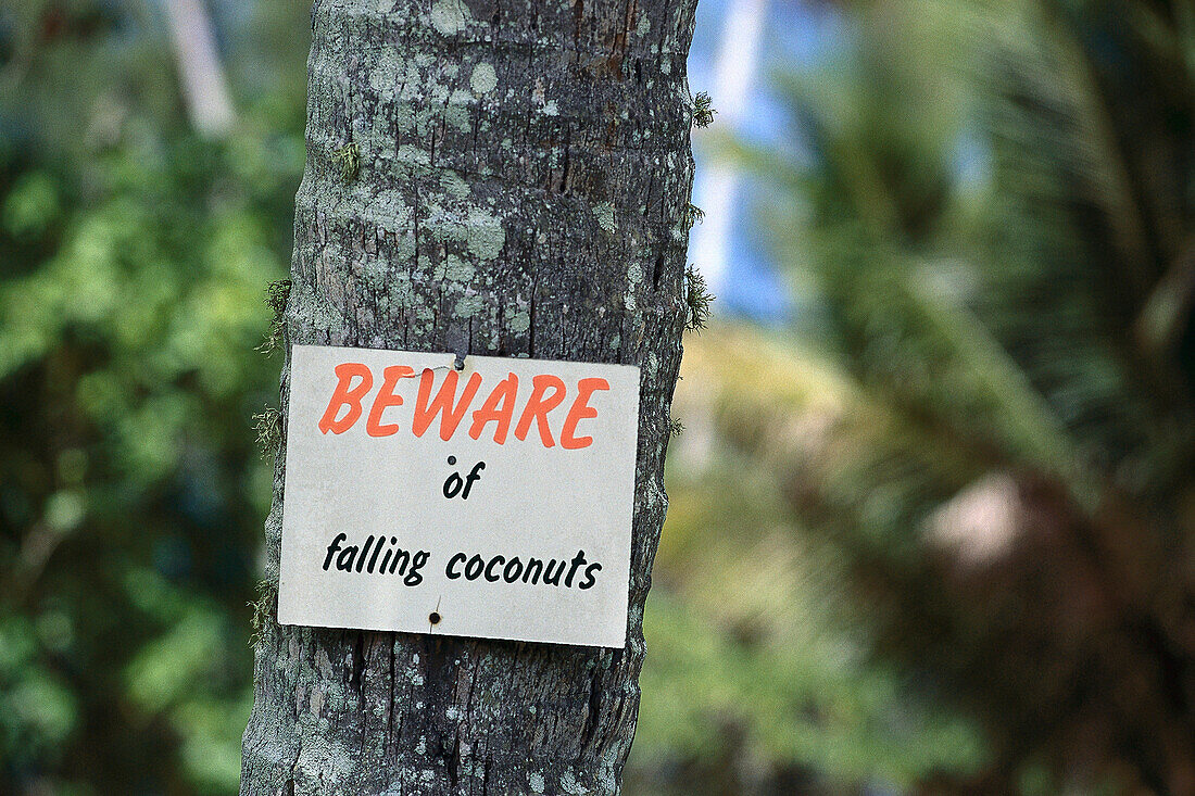 Falling Coconut Warning, Aitutaki Cook Islands