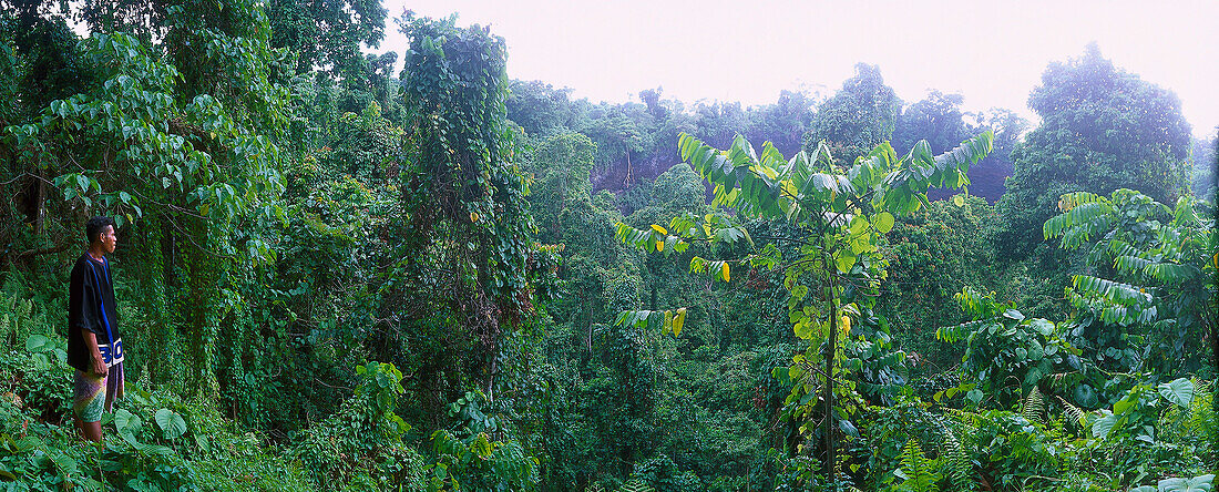 Samoaner blickt von Kraterrand auf Regenwald in der Tafua Rainforest Reserve, Tafua Peninsula, Savai'i, Samoa, Südpazifik