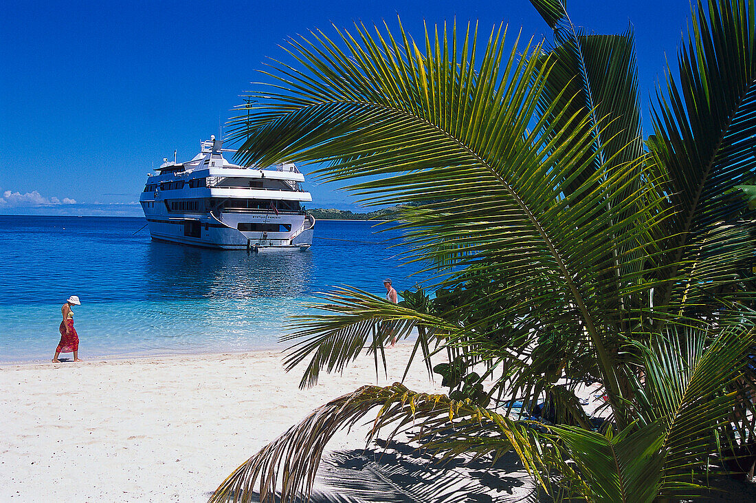 Palm and MV Mystique Princess, Blue Lagoon Cruise, Yasawa Nanuya Lailai Island, Fiji