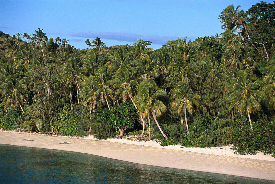 Beach at Sunset, Blue Lagoon Cruise, Yasawa Nanuya Lailai Island, Fiji