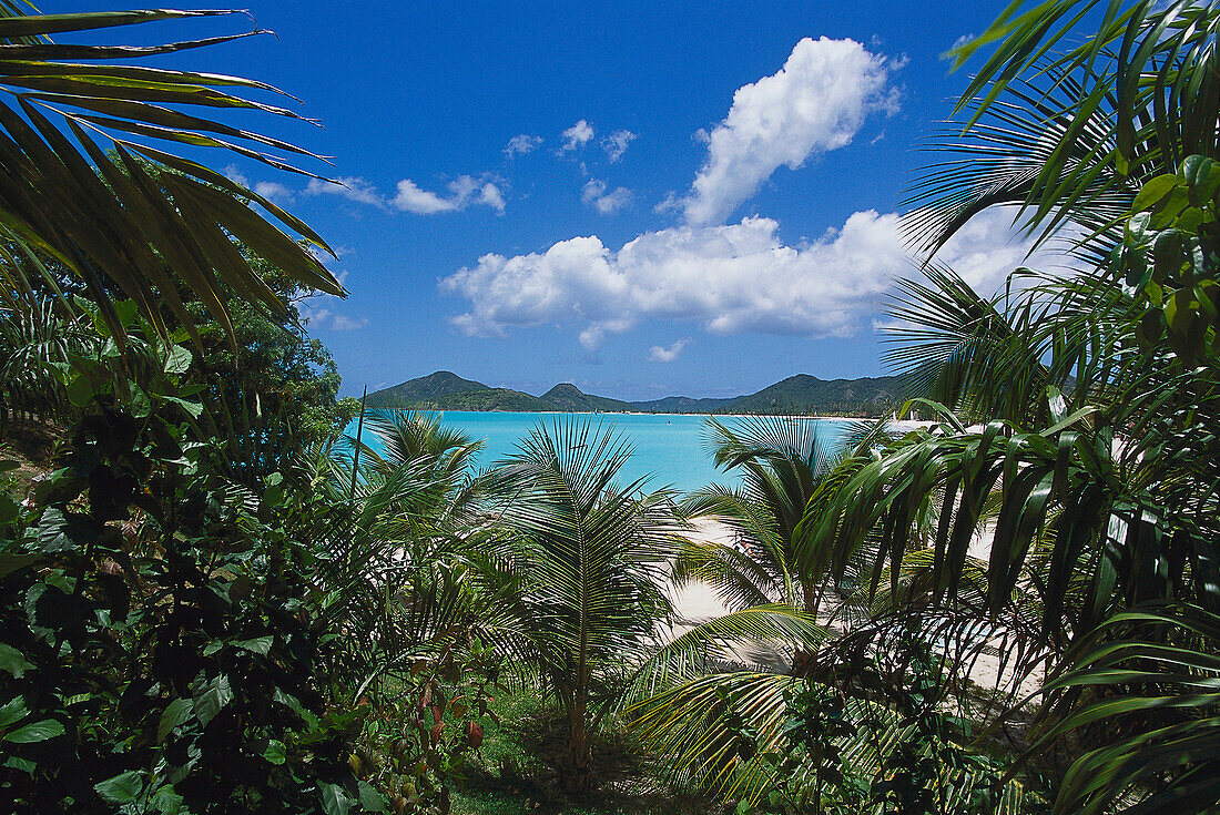 Jolly Bay, Blick von Cocos Resort St. John's, Antigua, Karibik