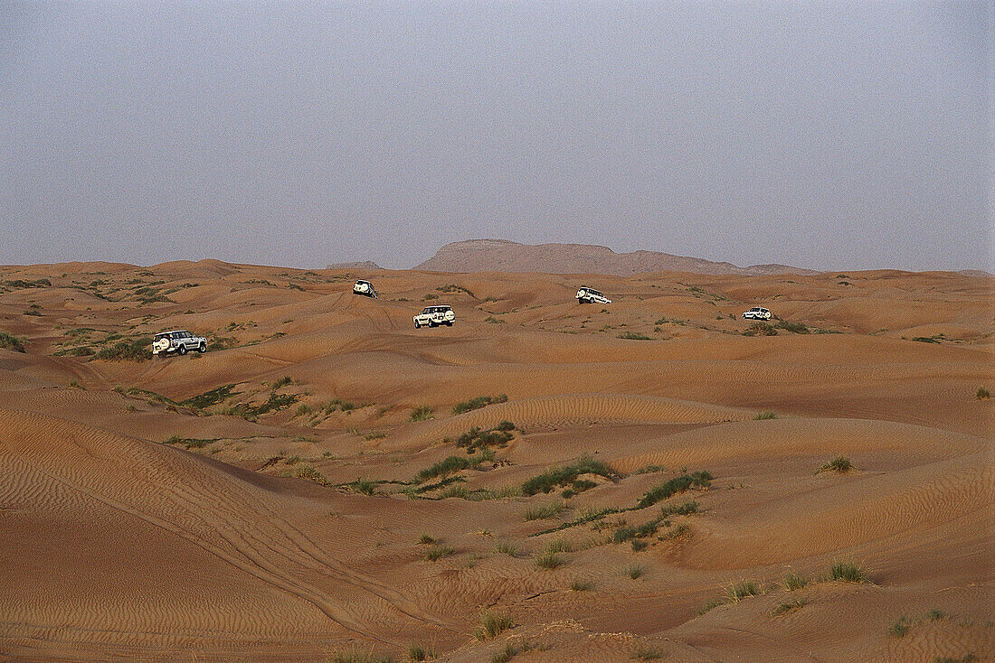 Dune Driving, Net Tours Desert Safari Dubai, Vereinigte Arabische Emirate