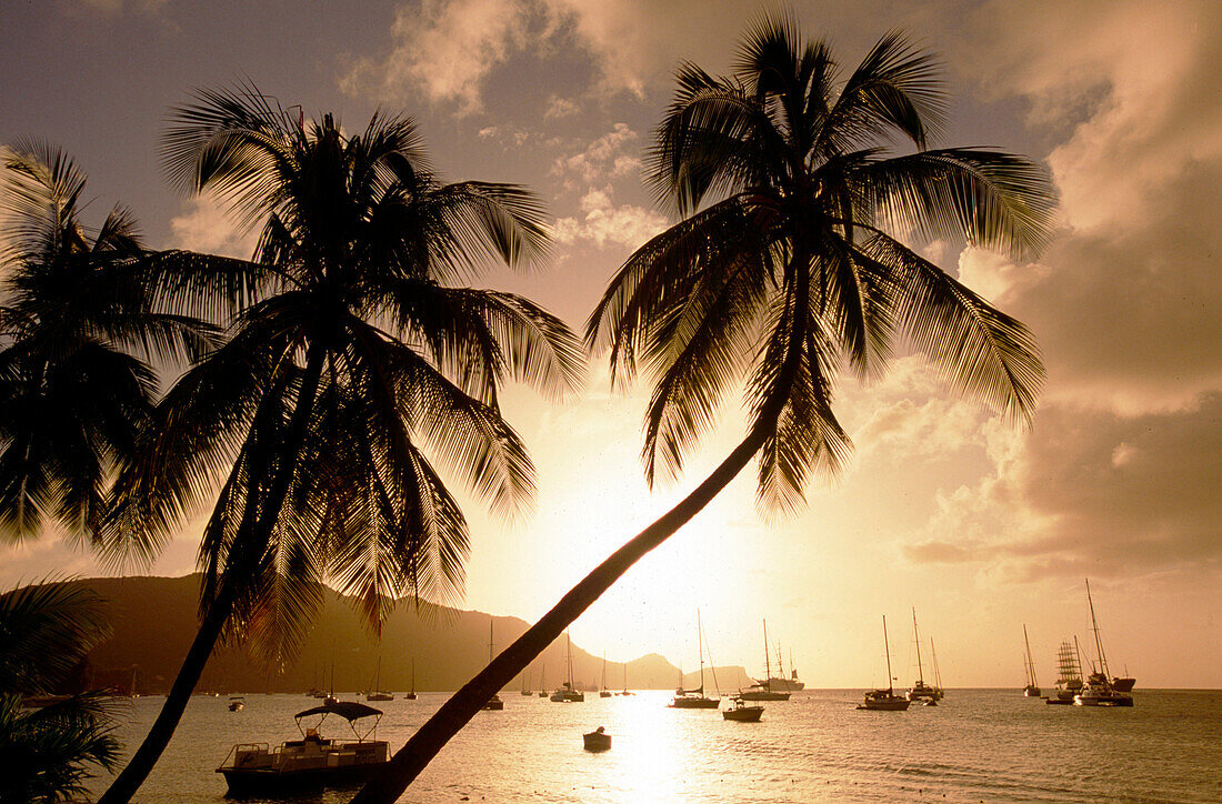 Sunset Silhouette, Port Elizabeth, Bequia St. Vincent & The Grenadines