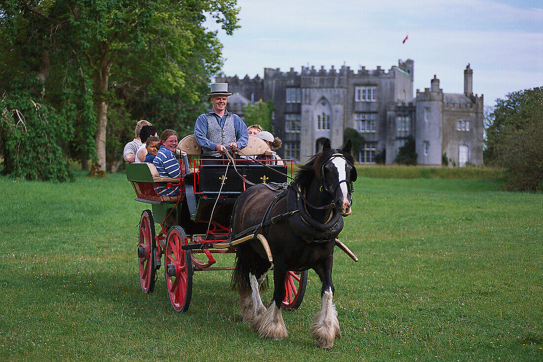 Pferdekutscher, Birr Castle Demesne Birr, Co. Offaly, Irland