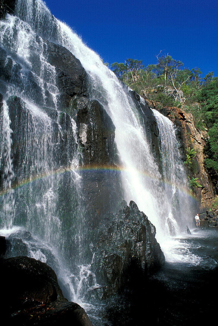 The MacKenzie Falls under blue sky, Mt. Victoria Range, Grampians National Park, Victoria, Australia