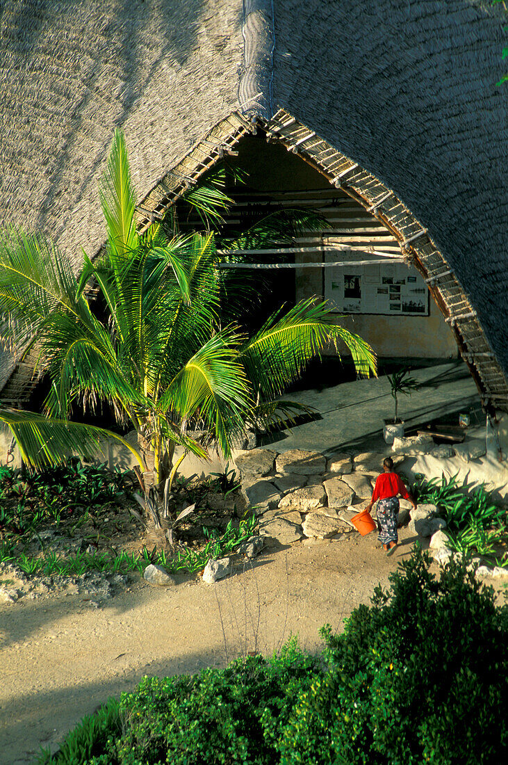 Palme vor dem Besucherzentrum des Naturreservats auf der Insel Chumbe, Sansibar, Tansania, Afrika