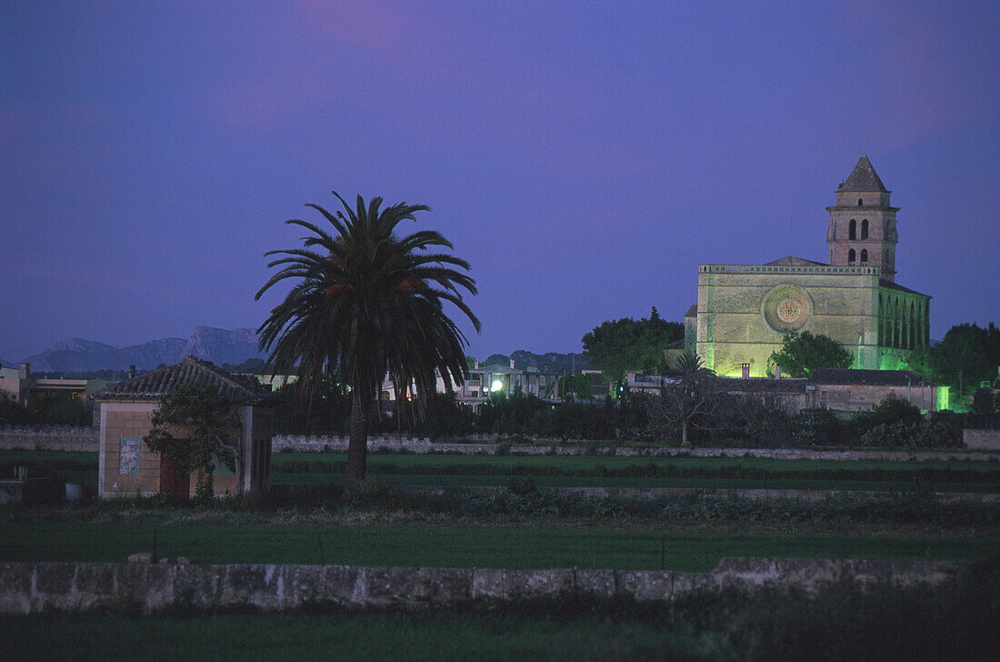 Palm tree and the fortified church of Petra in the evening, Majorca, Spain, Europe