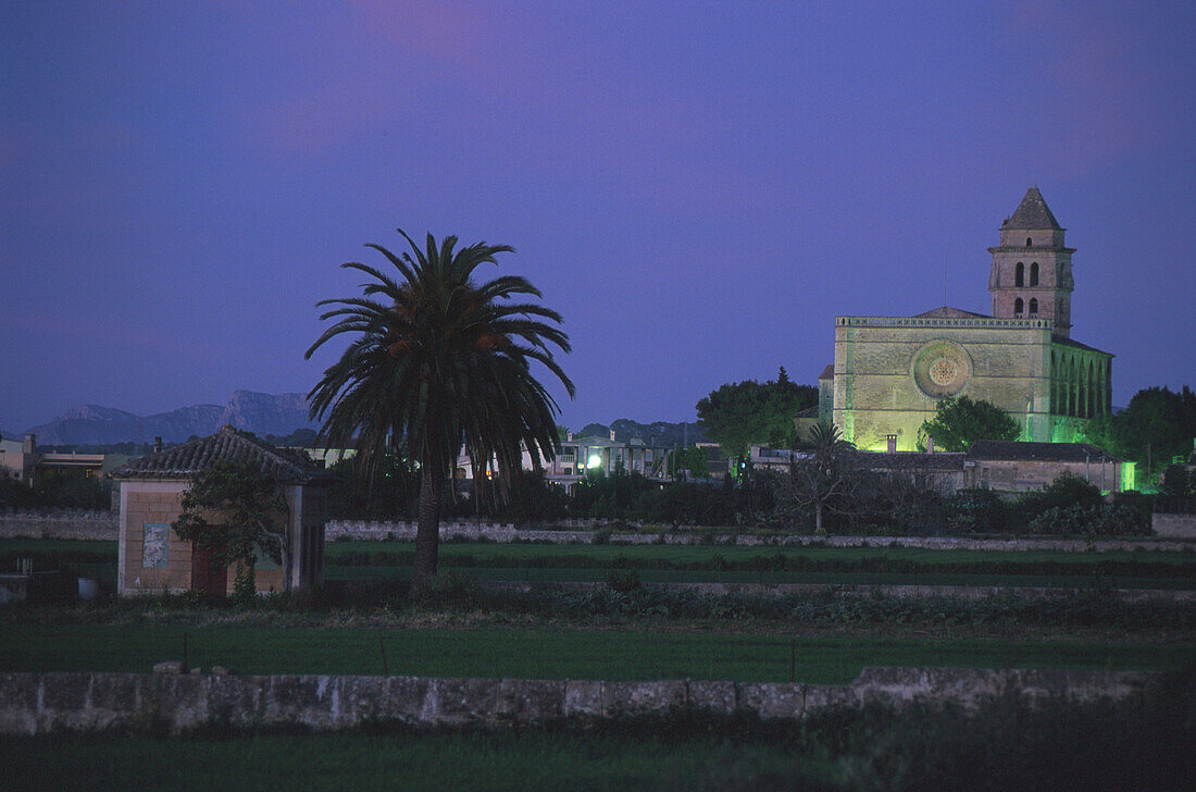 Palme und die Wehrkirche von Petra am Abend, Mallorca, Spanien, Europa