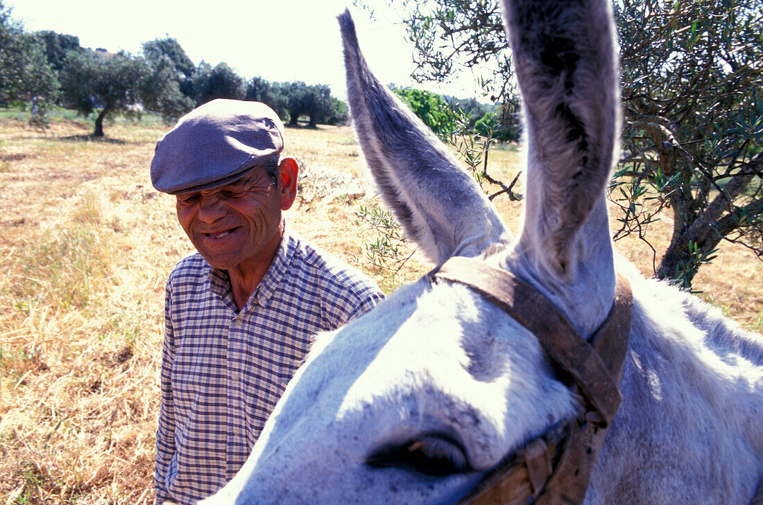 Ein Bauer und ein Esel in ländlicher Umgebung, Santa Catarina da Fonte do Bispo, Tavira, Algarve, Portugal, Europa