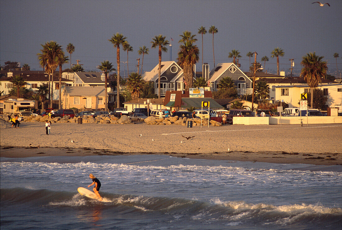 Wellenreiter, Ocean Beach, San Diego, Kalifornien STÜRTZ-CAL S.100/101