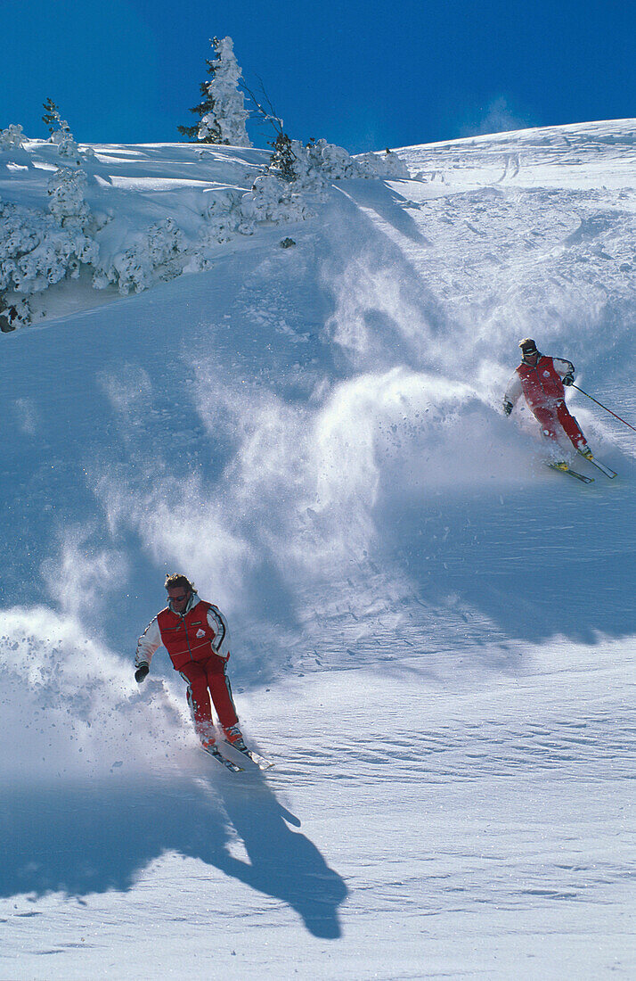 Skifahrer im Tiefschnee, Gatzig am Arlberg, St.Cristoph a.A. Tirol, Oesterreich