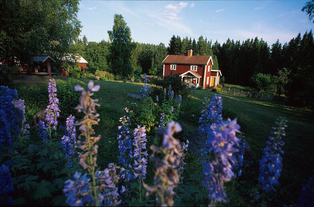 Katthult farm, village of Gibberyd, location for Michel from Loenneberga, Smaland, Sweden, Europa