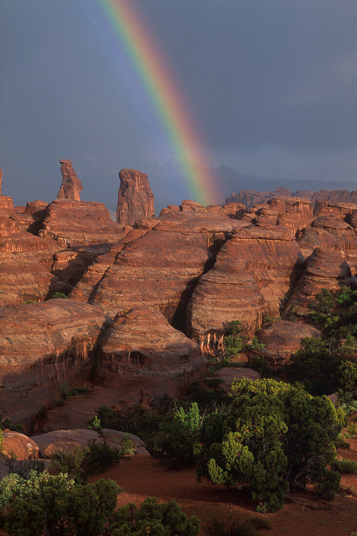 Klondyke Bluffs, Arches NP, Utah, USA STÜRTZ S.47o.