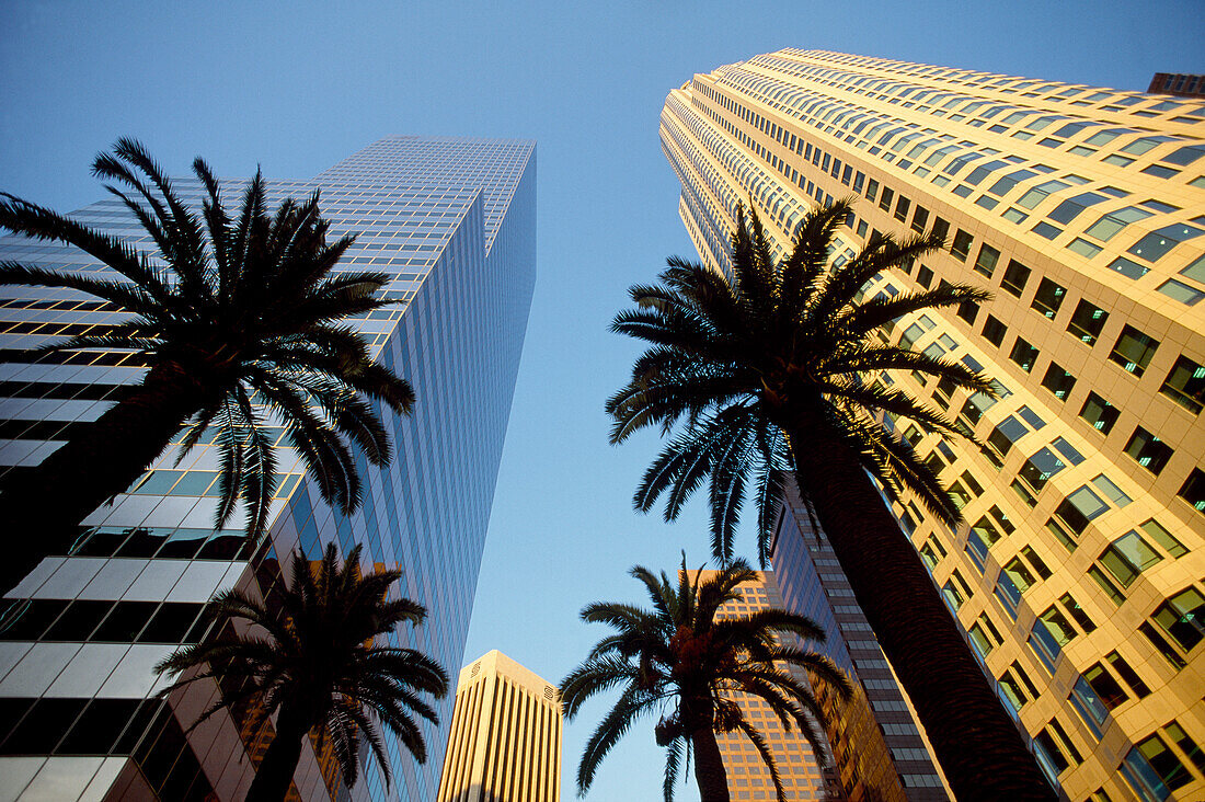 First Interstate World Center, on the right, Los Angeles, California, USA
