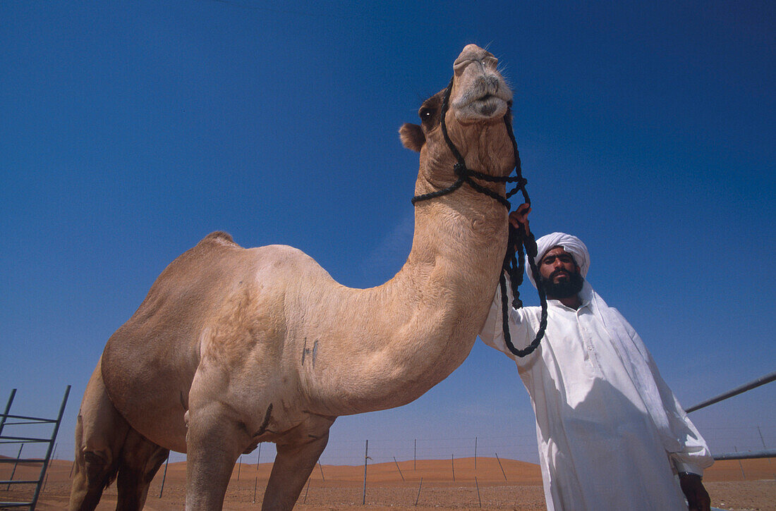 Rennkamel, Al-Ain, Abu Dhabi VAE