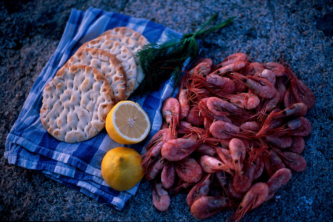 Frische Krabben gekocht, , schwedische Spezialitaet Bohuslaen, Schweden